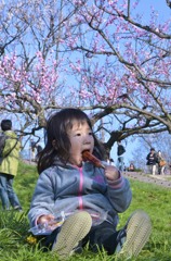 花より団子