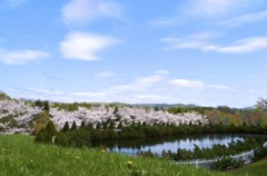 北の大地