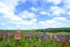 北海道の大自然