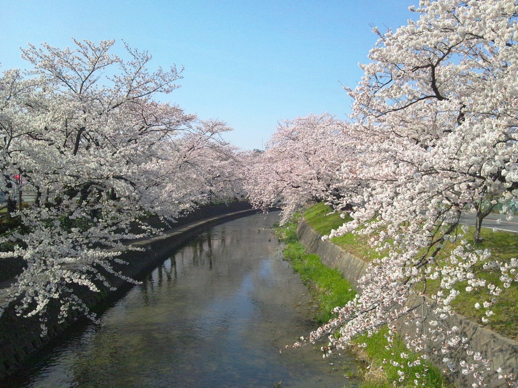 生命の息吹