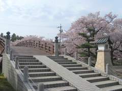 桜の堀尾跡公園　（２）
