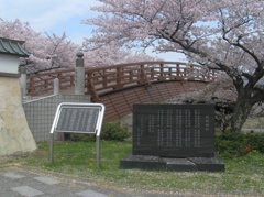 桜の堀尾跡公園　（５）