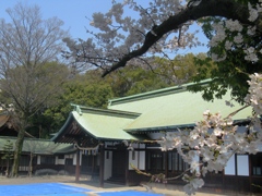 桜の国府宮神社　（１）
