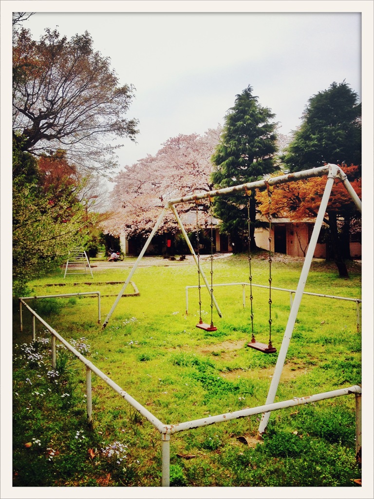 阿佐ヶ谷住宅の桜