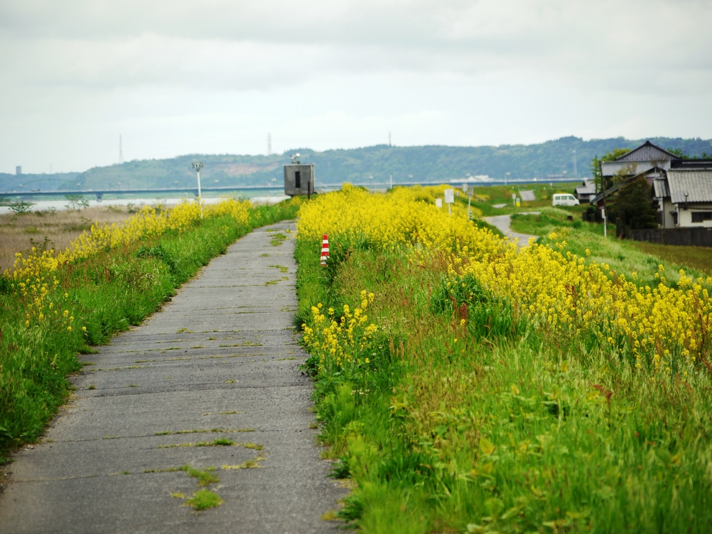 利根川