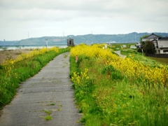 利根川