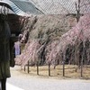 観福寺