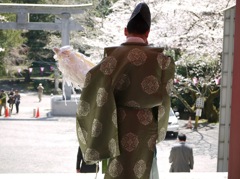 神主と桜
