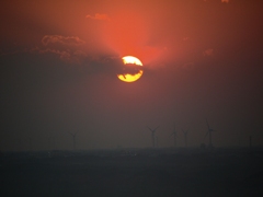 夕日