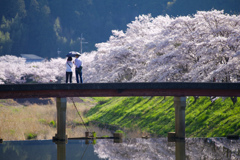 日傘の夫婦