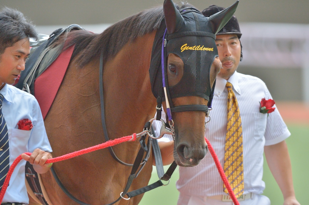 2012ローズS ジェンティルドンナ