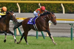 2015 安田記念 モーリス