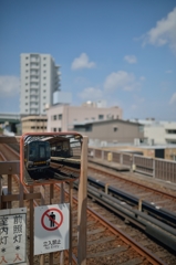 DSC_0600a