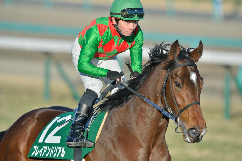 2014　京成杯　プレイアンドリアル