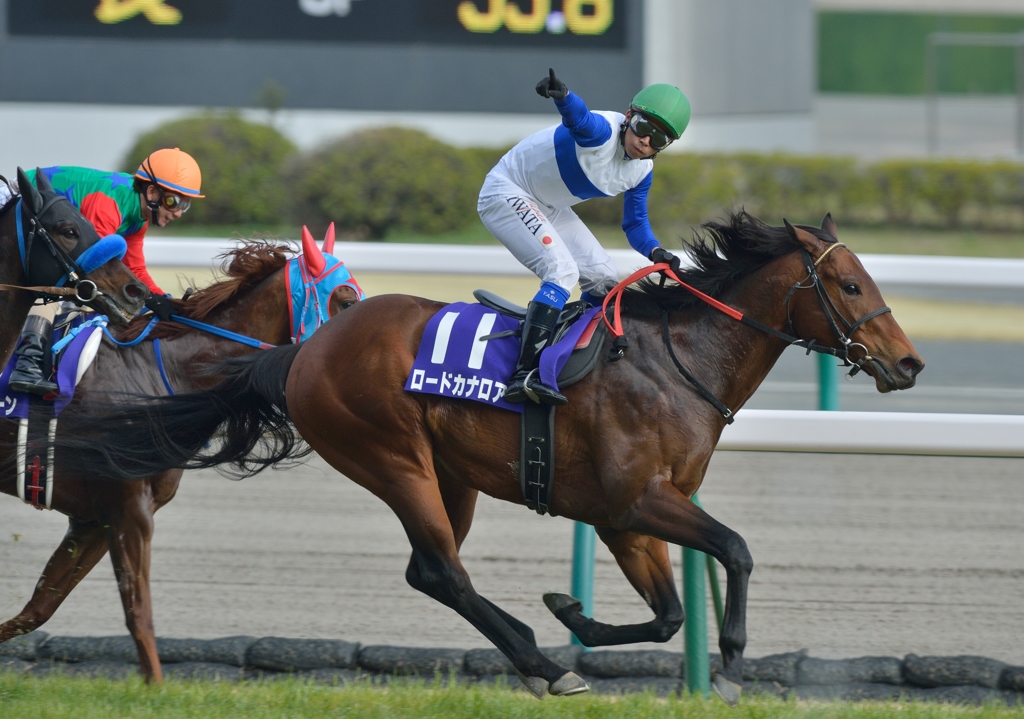 2013　高松宮記念　ロードカナロア