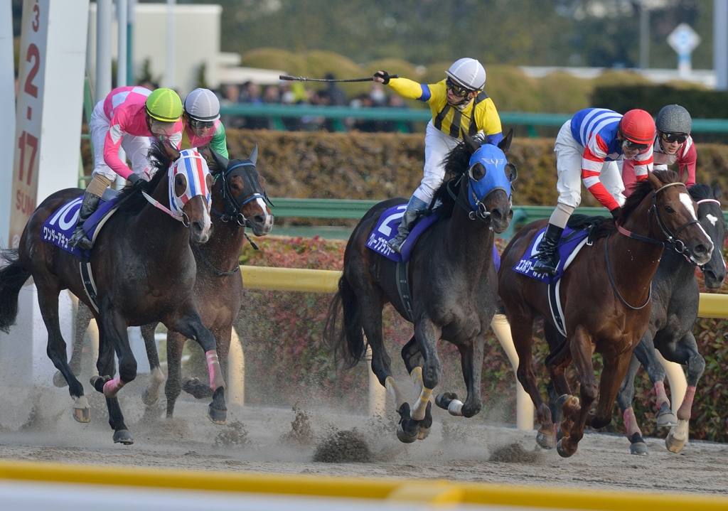 2013　フェブラリーS　グレープブランデー