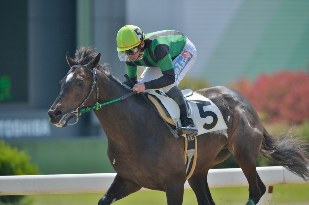 2014.05.09 名古屋競馬　ファミーユ