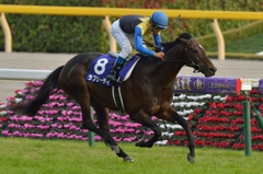2015 天皇賞(秋) ラブリーデイ