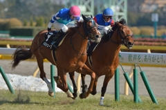 2014　セントポーリア賞　ヴォルシェーブ
