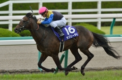 2015  宝塚記念 ラブリーデイ