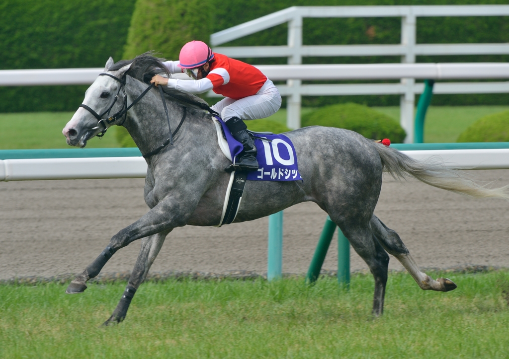 2013　宝塚記念　ゴールドシップ　③