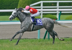 2013　宝塚記念　ゴールドシップ　③