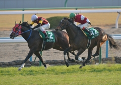 2013 シンザン記念