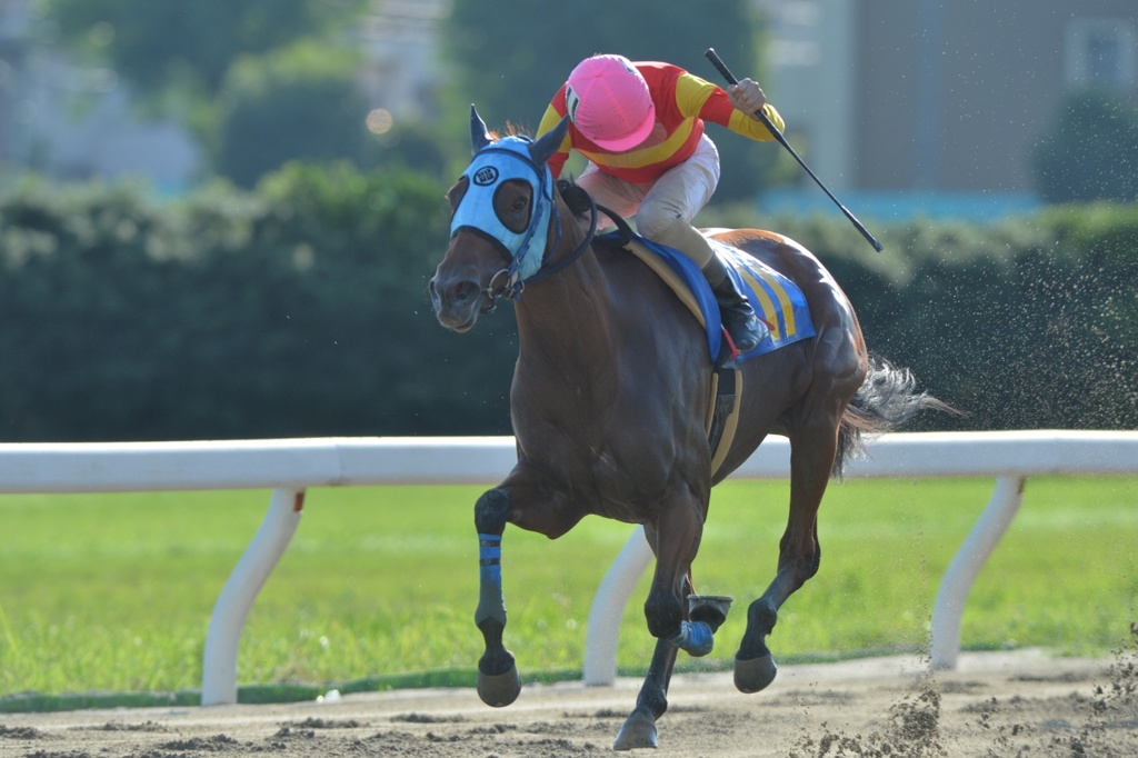 名古屋競馬 2013 秋桜賞 ピッチシフター