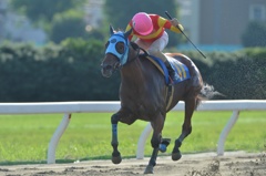 名古屋競馬 2013 秋桜賞 ピッチシフター