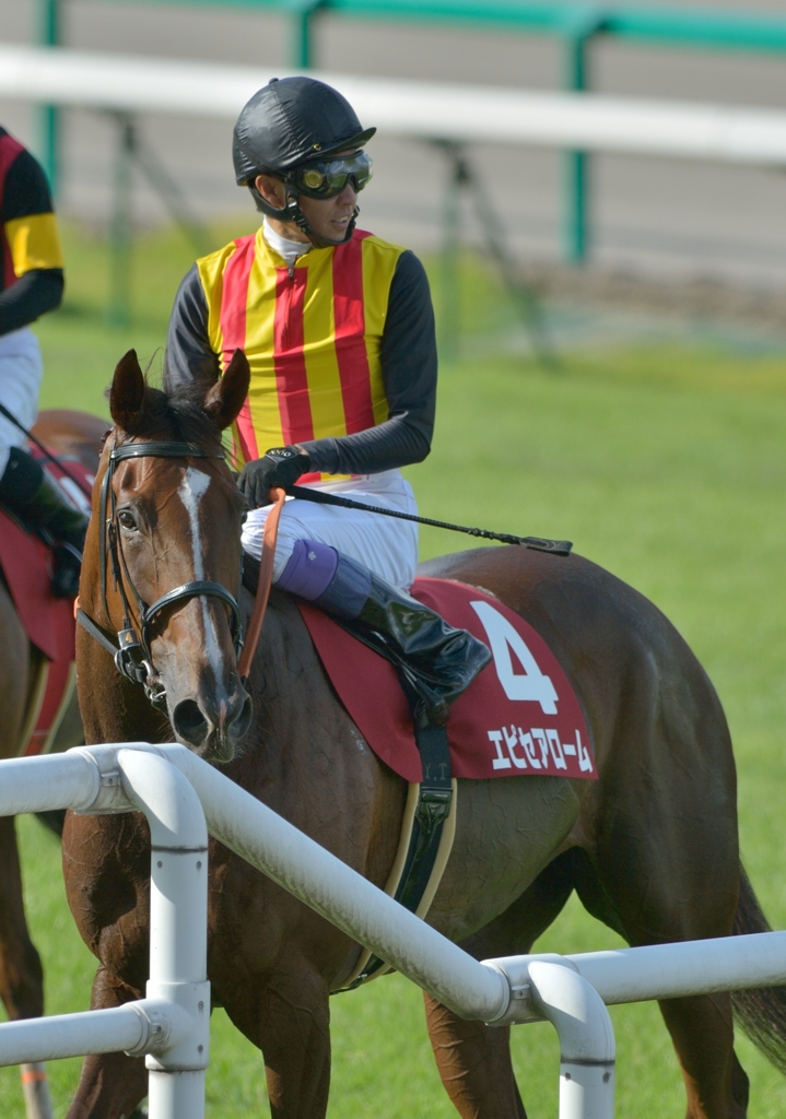 2012セントウルステークス　エピセアローム