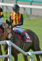 2012セントウルステークス　エピセアローム