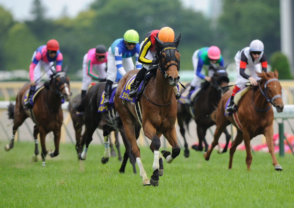 2012オークス　ジェンティルドンナ1