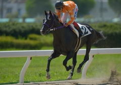 120824名古屋競馬②