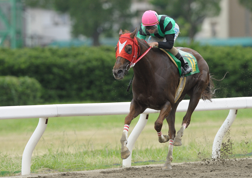 名古屋競馬 デジタルゴールド