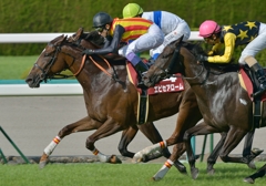 2012セントウルステークス③