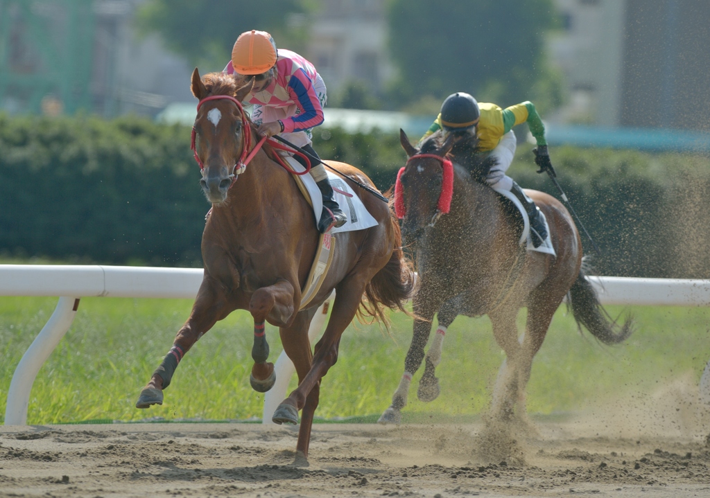 名古屋競馬120903②