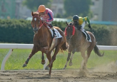 名古屋競馬120903②