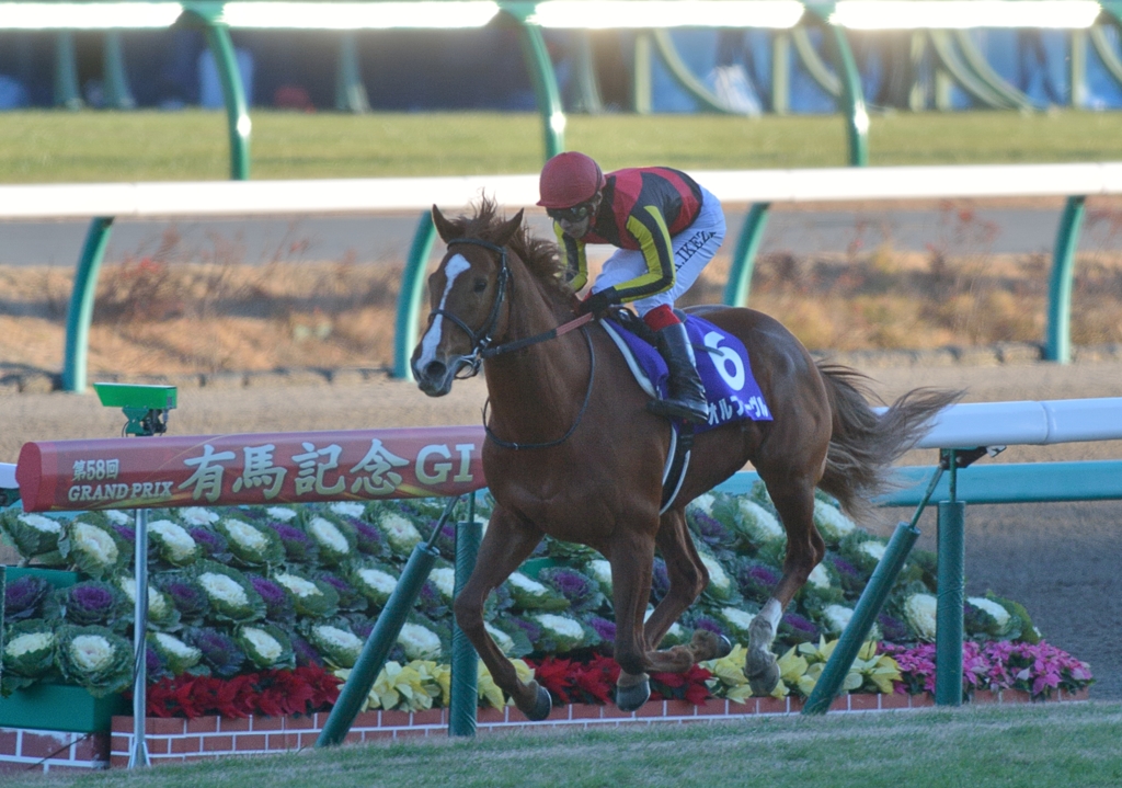 2013 有馬記念 オルフェーヴル by nabe0102 （ID：3015115） - 写真 