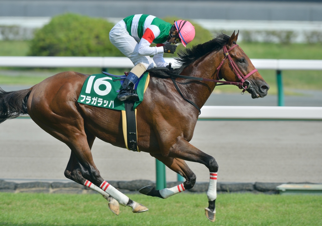 2013　中京記念　フラガラッハ②