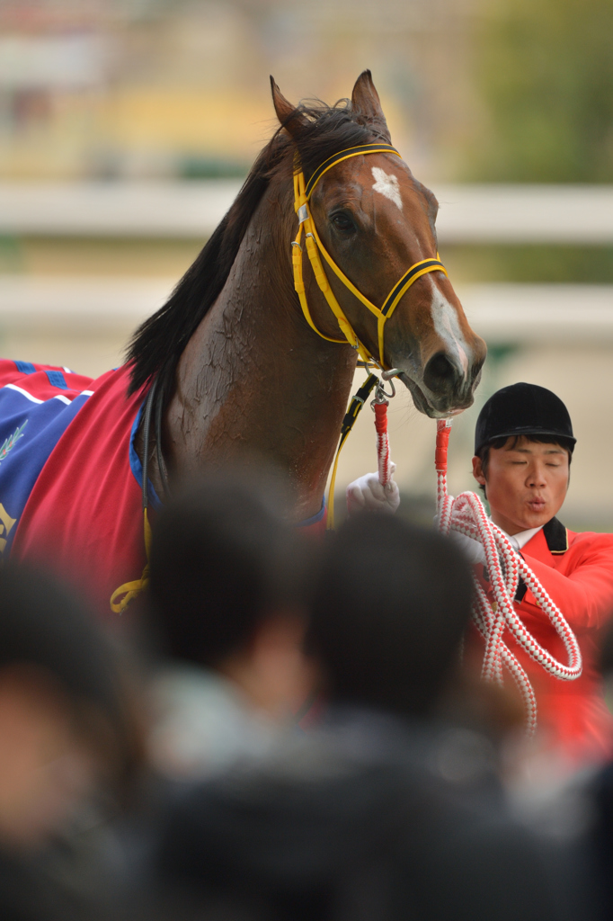 2016 高松宮記念 ビッグアーサー