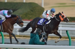 2014 チャンピオンズカップ ホッコータルマエ
