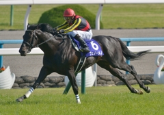 2013 天皇賞（春）　フェノーメノ