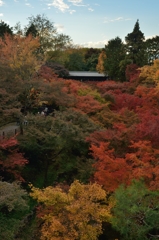 京都　東福寺