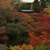 京都　東福寺