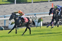2011 京都大賞典 後藤浩輝