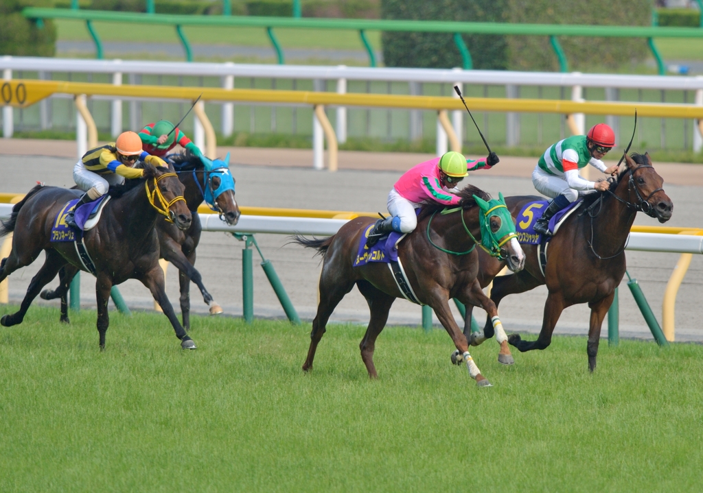 2014 優駿牝馬　ヌーヴォレコルト