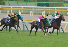 2014 優駿牝馬　ヌーヴォレコルト