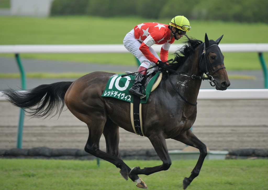 2012中京記念　レッドデイヴィス