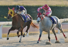 2012　笠松グランプリ　エーシンクールディ　ラブミーチャン