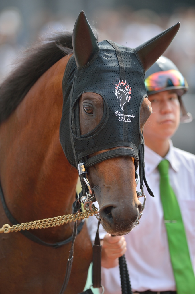 2013　中京記念　フレールジャック